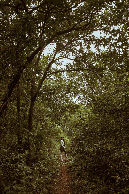 Dharana at Shillim 5*